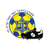 https://img.shyunanww.top/img/football/team/687444da1c62a4654239ed1614216575.png